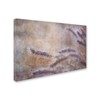 Trademark Fine Art Cora Niele 'Dew Fox Tail Grass' Canvas Art, 12x19 ALI1715-C1219GG